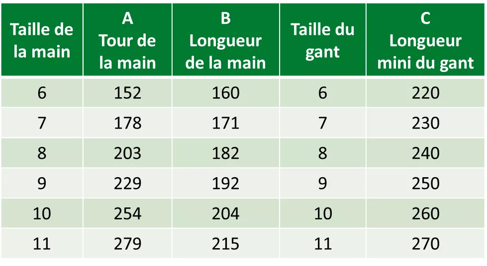 Guide des tailles de gants