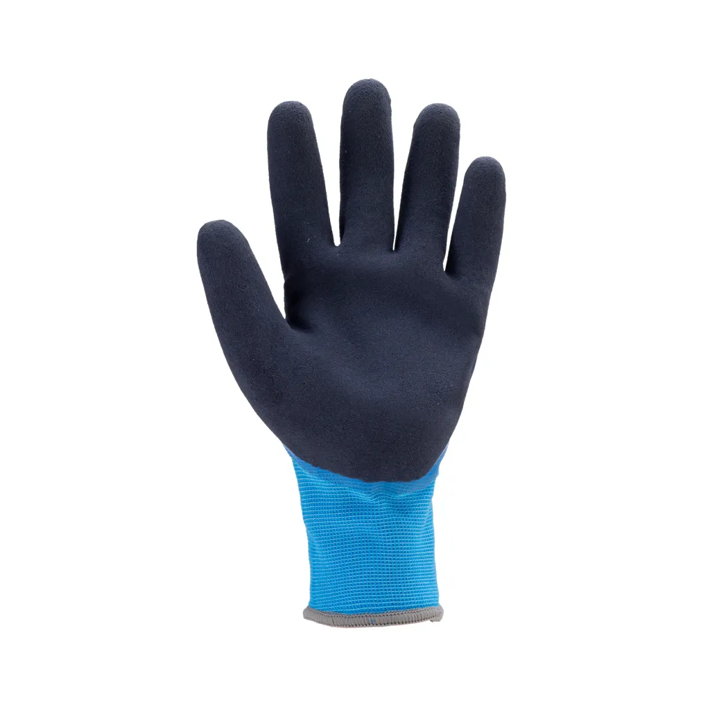 Gants EUROWINTER L200 (x5) (1).webp