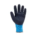 Gants EUROWINTER L200 (x5) (1).webp