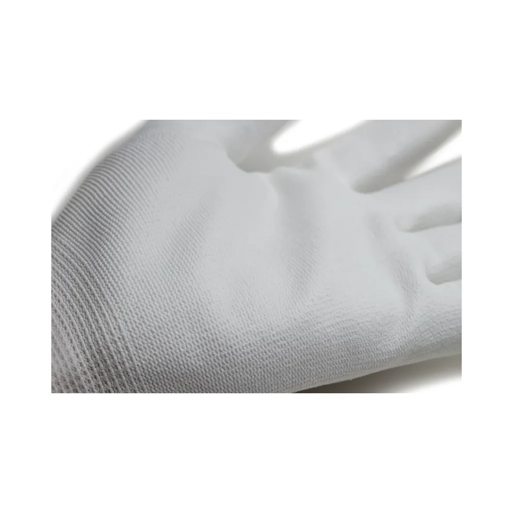 Gants Eurolite P400 (x10) Food Contact (2).webp