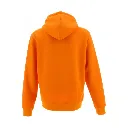 Toledo orange (1).webp